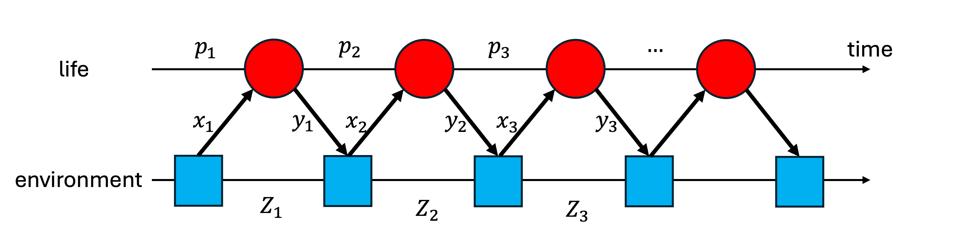 A model for the interaction between life and environment.